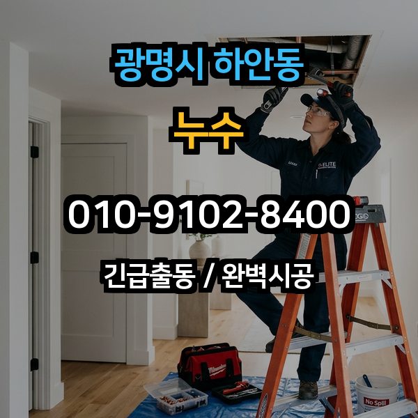 대표이미지 1